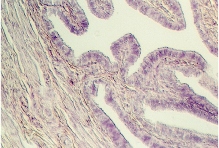 fall_tube1.jpg (89388 bytes)