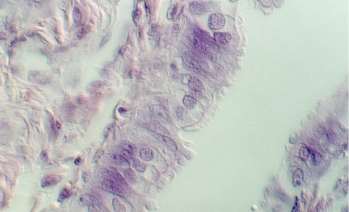 fall_tube2.jpg (50837 bytes)